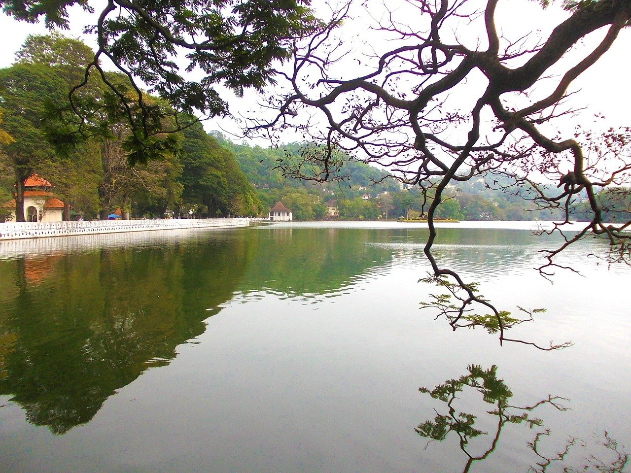 Sri Lanka Tour Package 7 Days Image