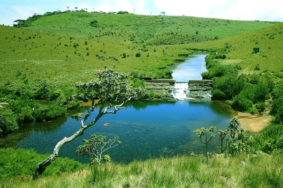 Sri Lanka Tour Package 7 Days Image