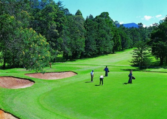 Sri Lanka Tour Package 7 Days Image