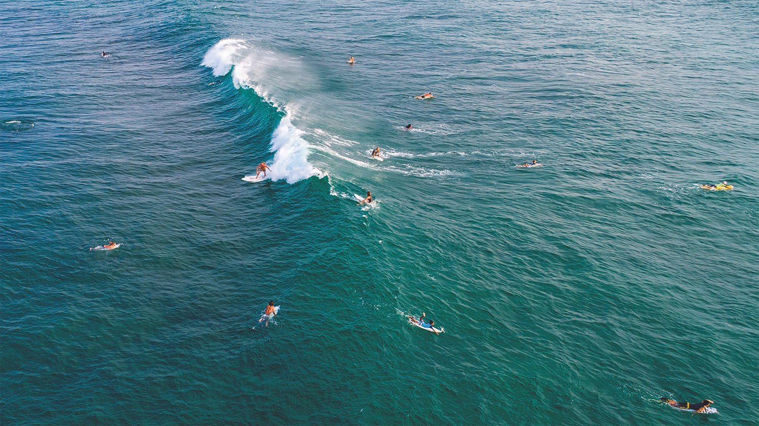 Sri Lanka Tour Package 7 Days Image