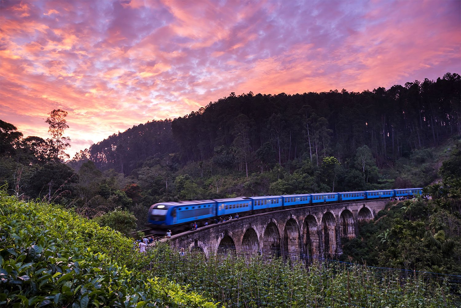 Sri Lanka Tour Package 7 Days Image