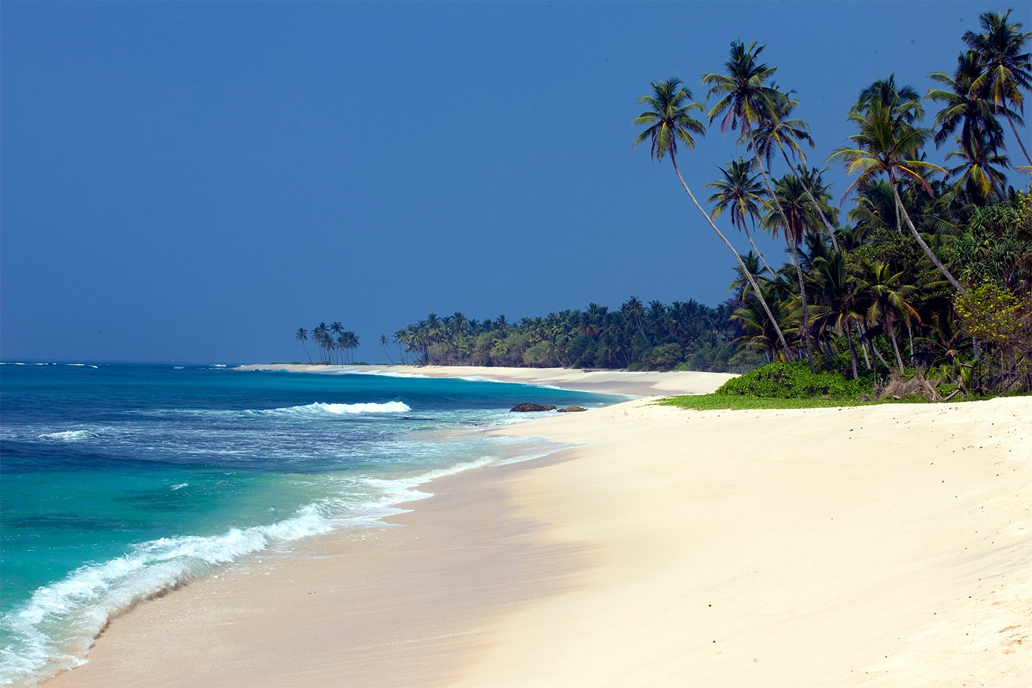 Sri Lanka Tour Package 7 Days Image