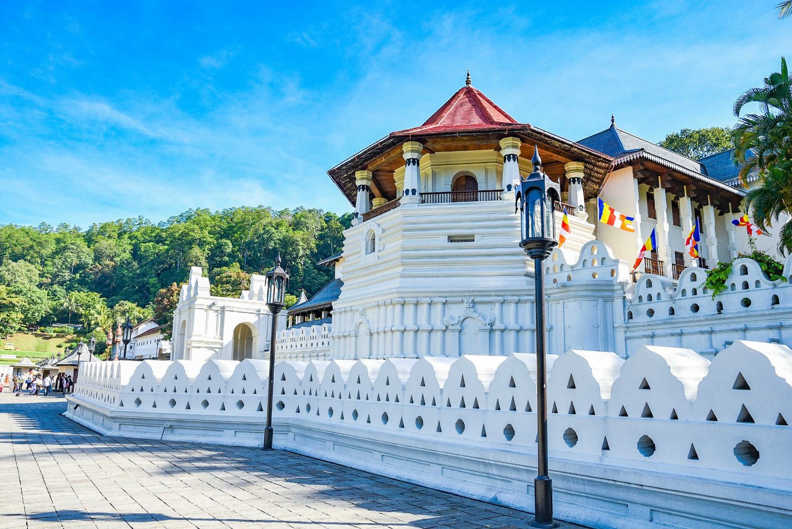 Sri Lanka Tour Package 7 Days Image