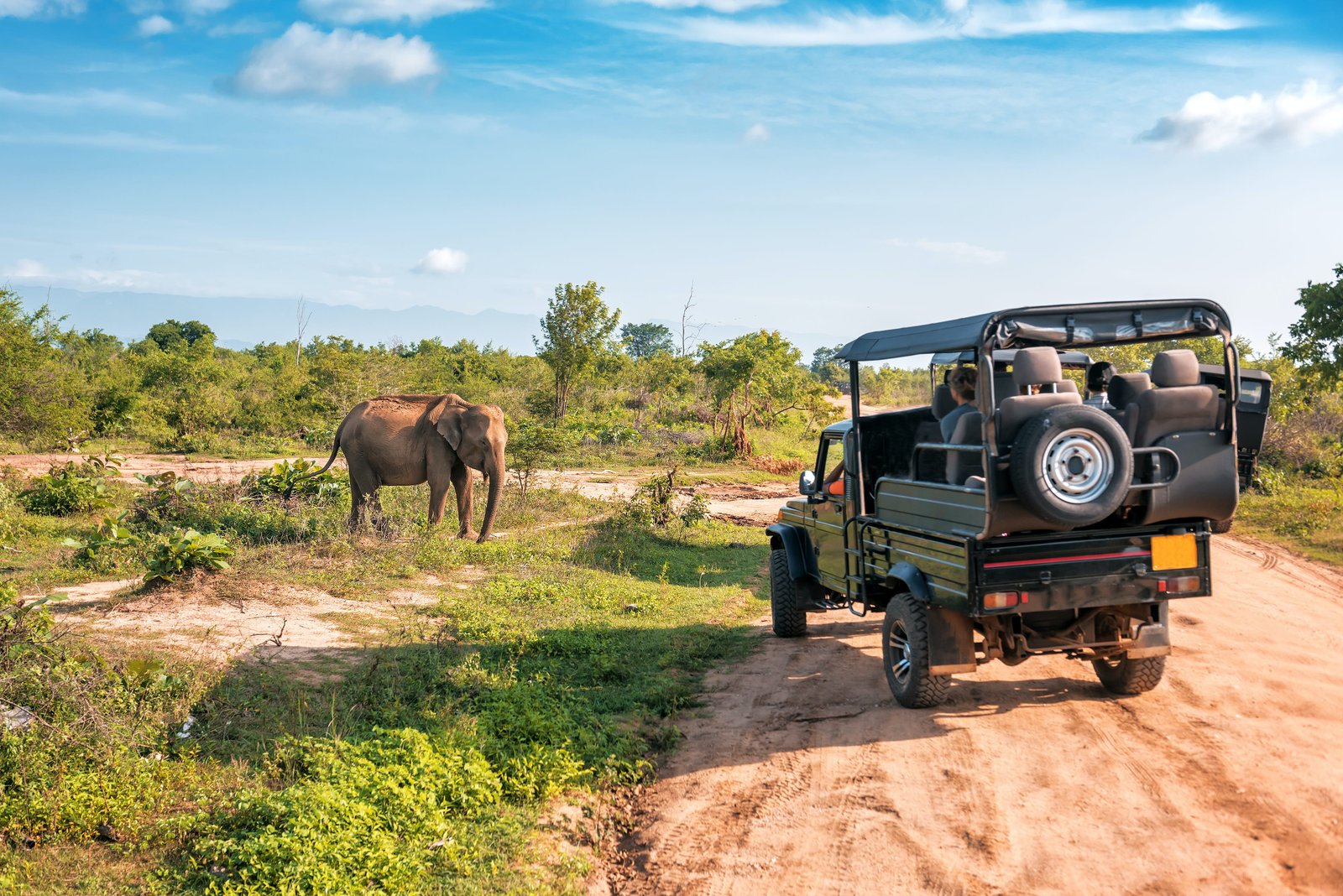 Sri Lanka Tour Package 7 Days Image