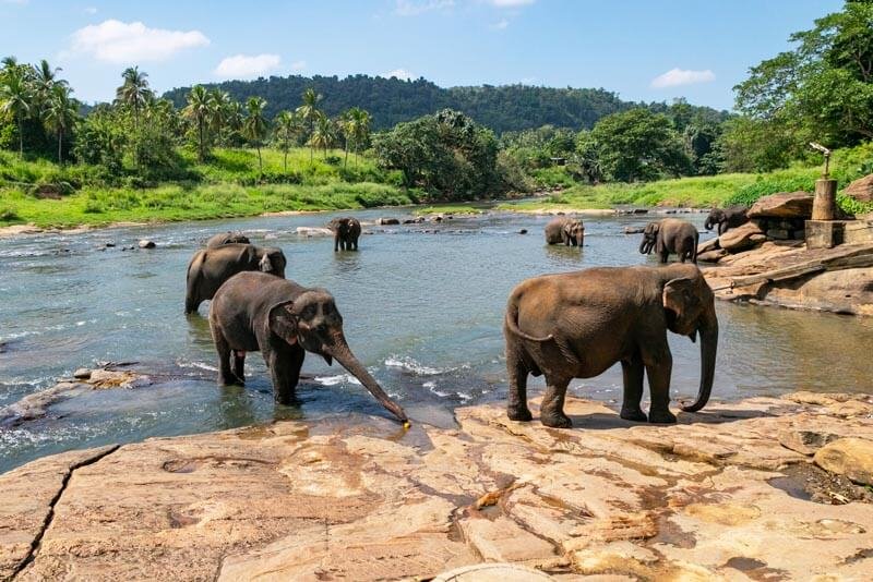 Sri Lanka Tour Package 7 Days Image